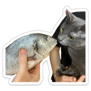 Стикер manulik - 6