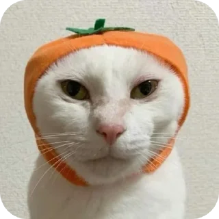 Sticker мендарин – @mykirxy @TgEmodziBot - 5