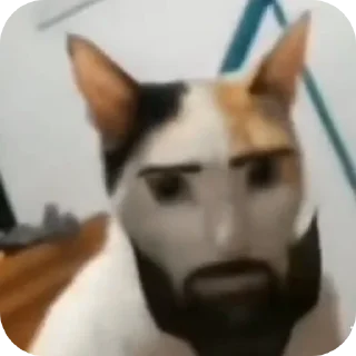 Sticker мендарин – @mykirxy @TgEmodziBot - 1