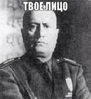 Sticker mihail litvin @TgEmodziBot - 7