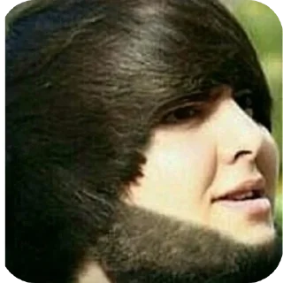 Стикер Даня не воруй - 10