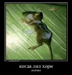 Стикер хуета миуры @TgEmodziBot - 5