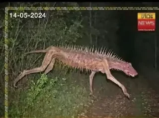 Стикер хуета миуры @TgEmodziBot - 10