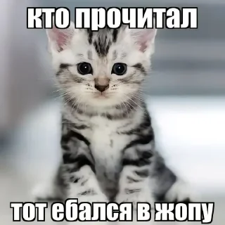 Стикер хуета миуры @TgEmodziBot - 2