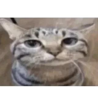 Sticker Mix png | @sphadapter - 10