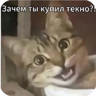 Sticker #мненестыдно - автор @ZeeNothingness - 7