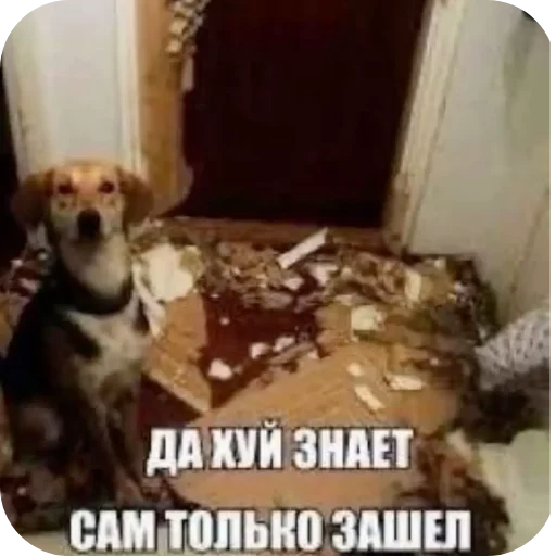 Sticker mocha3936 - 1