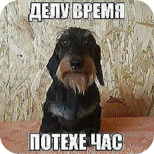 Sticker mocha3936 - 1