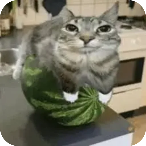 Sticker mocha3936 - 1