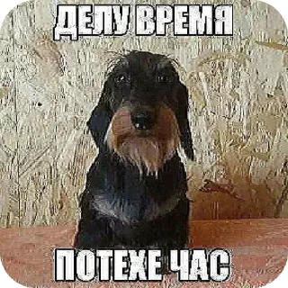 Sticker моча - 4