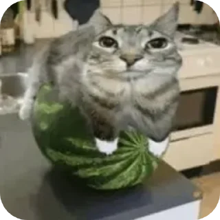 Sticker моча - 1