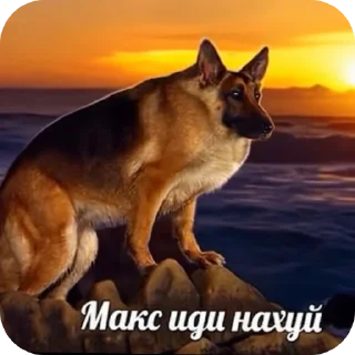 Sticker моча - 7