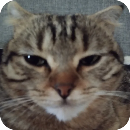 Стикер moi_stikery_2ed07_by_TgEmodziBot - 1