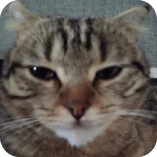 Стикер Стикеры от Артёма @new_artme4i - 3