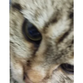 Стикер Стикеры от Артёма @new_artme4i - 7