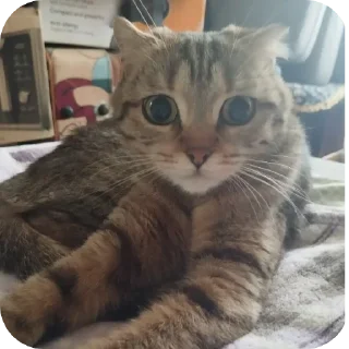 Стикер Стикеры от Артёма @new_artme4i - 9