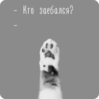 Стикер @moy - 6