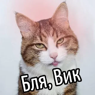 Стикер @moy - 10