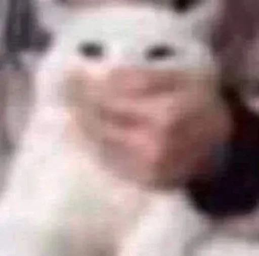 Sticker mxrphiness - 1