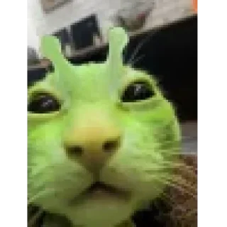 Стикер @stiki_tg_nah_canal - 5