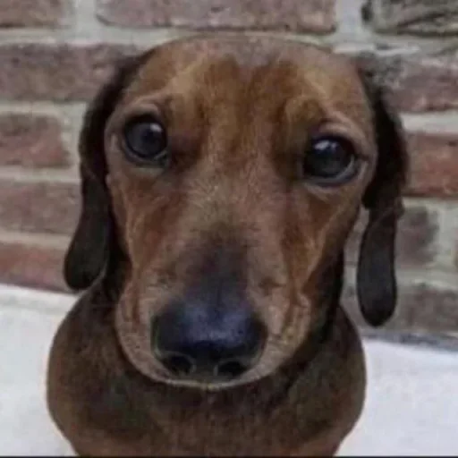 Стикер nclNzyx_by_achestickbot - 1