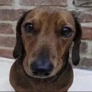 Стикер Больше стиков тут: @stikery4 - 4