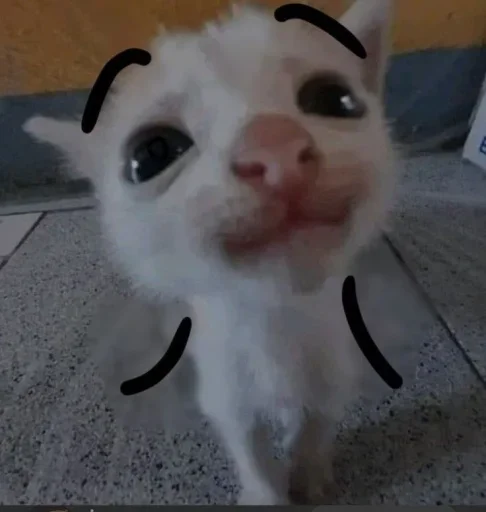 Гипер няшечка..<3 @MoiStikiBot - 