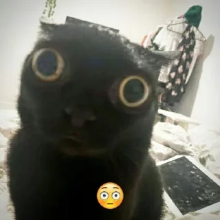 Sticker Гипер няшечка..<3 @MoiStikiBot - 9