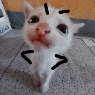 Sticker Гипер няшечка..<3 @MoiStikiBot - 2