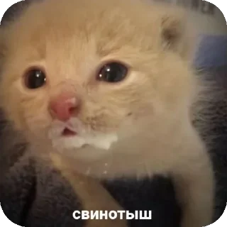 Sticker Гипер няшечка..<3 @MoiStikiBot - 3