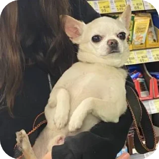 Стикер даша добри - 5