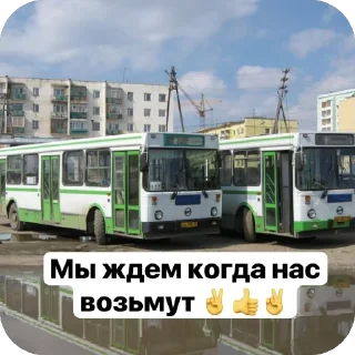 Sticker Автобусы Якутск - 7