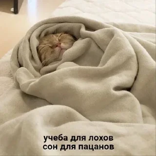 Sticker Больше @sbornik_emoji - 6