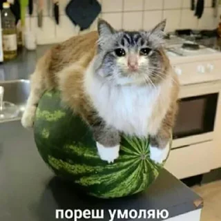 Sticker Больше @sbornik_emoji - 4