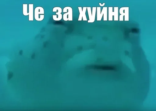 Стикер ola_ca2bb_by_MoiStikiBot - 1