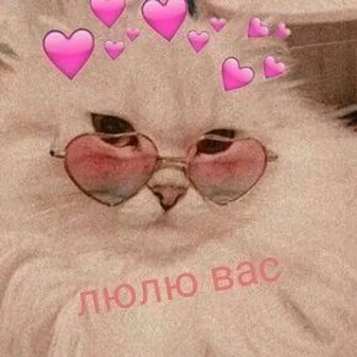 Sticker ola_ca2bb_by_MoiStikiBot - 1