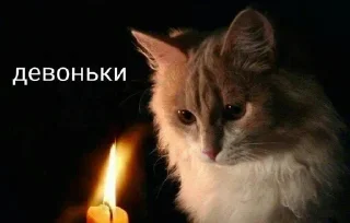 Стикер ола @MoiStikiBot - 6