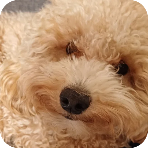 Sticker p9339888951103981458_by_prstickers_bot - 1