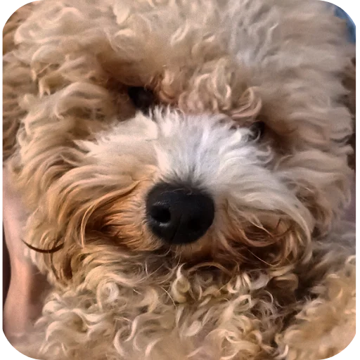 Sticker p9339888951103981458_by_prstickers_bot - 1