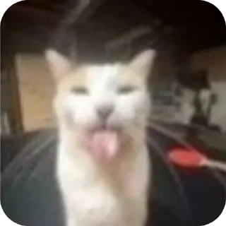 Стикер Больше стиков тут: @stikery4 - 11