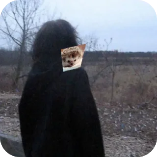 Стикер Больше стиков тут: @stikery4 - 7