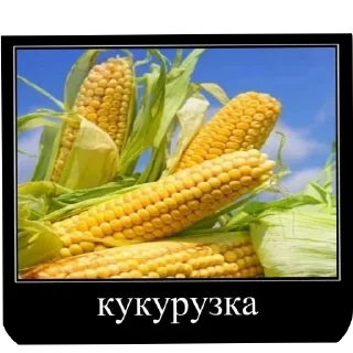 Стикер Больше стиков тут: @stikery4 - 4