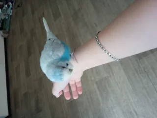 Стикер Создать Стикеры 👉@EmojiCatalogbot - 3