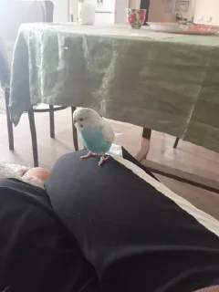 Стикер Создать Стикеры 👉@EmojiCatalogbot - 2