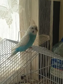 Стикер Создать Стикеры 👉@EmojiCatalogbot - 1