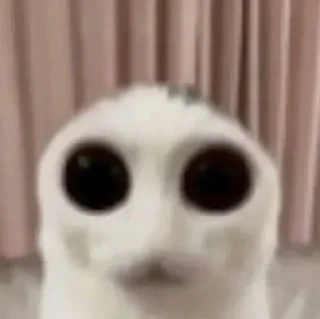 Sticker Тотально похуй - 1