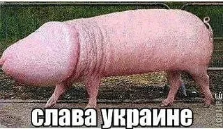 Sticker :: @stickerry_tg - 1