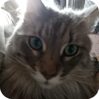 Стикер Создано в @sozdat_stikery_bot - 10