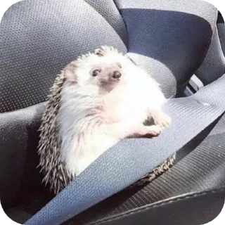 Стикер Создай стики 👉 @new_stickerbot - 6