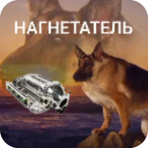 Sticker pack5867545_by_katalog_stik_bot - 1